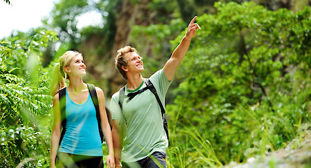 Entspanntes Wandern im Bayerischen Wald